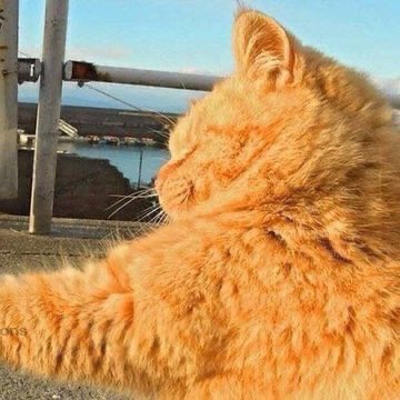 “ you lack hatred sasuke “