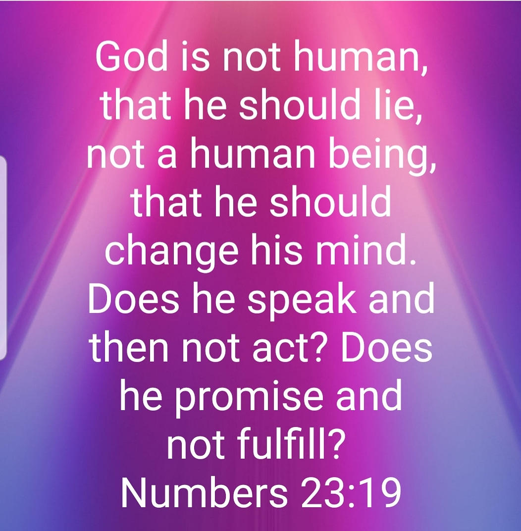 SparksofGod's tweet image. My trust is in you God.  🙏🏼🕊🦅
#author #becourageous #SparksofCourageonAmazon 
#forgiveness  #followyourdreams