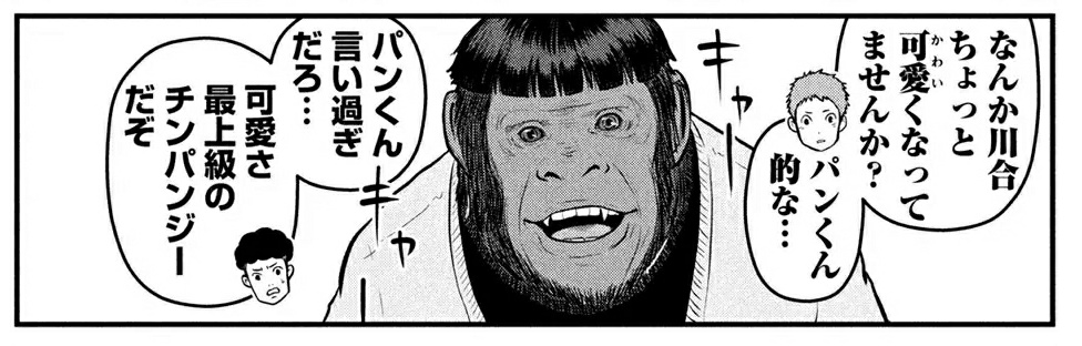 今回のハコヅメワールド 