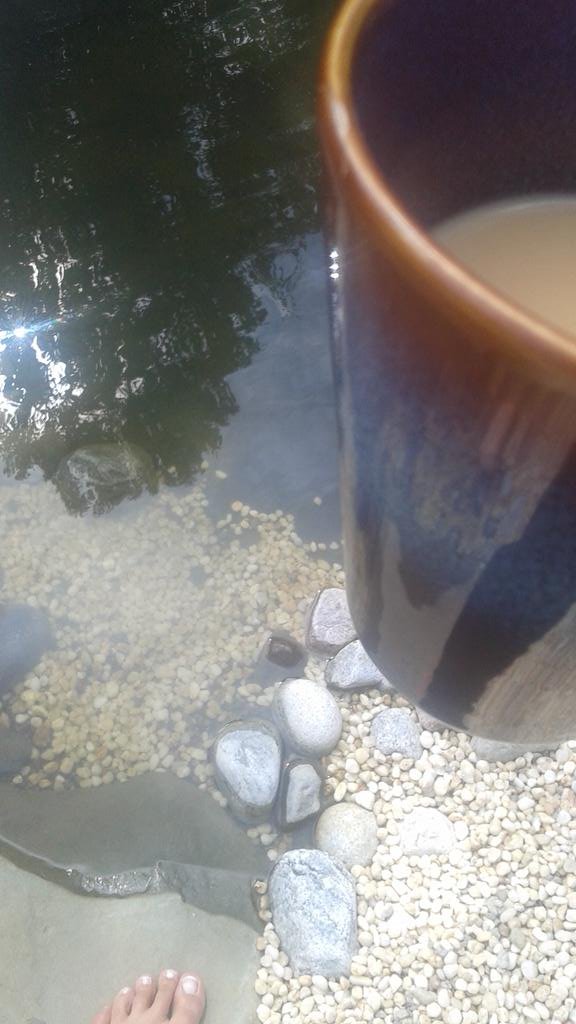 mandynopantses's tweet photo. #backyardgoals #fishmama #ecoscapelifestyle #lovelife #mooreswansonecoscape #mandymade #mandyland #mandyzen #StayLifted #lifeisgood #thisis43 #mybeach #wemadeit https://t.co/kyqryKi40H
