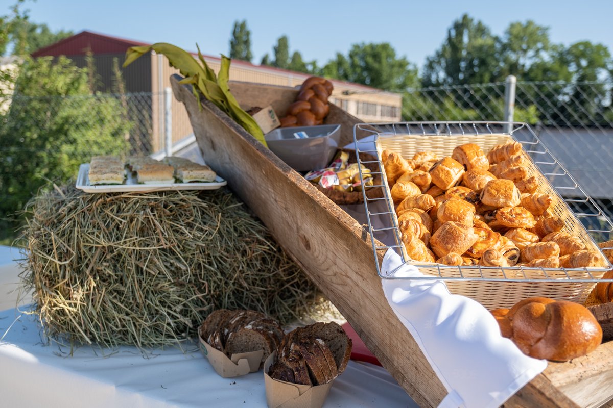 educalis_ch's tweet photo. La Fête des Promotions de l'Ecole Vivalys s'est déroulée ce mercredi à Ecublens. Au programme de cette belle matinée: brunch champêtre sous un soleil radieux! Un grand merci aux parents et élèves pour leur présence #bonnesvacances #educalis #vivalys #avdep https://t.co/KtMlzwwX1G