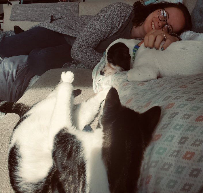 kteganauthor's tweet photo. Just a snap of this #writer with her beautiful #furbabies #lifeofwinnie #baxterboy #WritingCommunity #writerslife https://t.co/mFc6gEKKzR