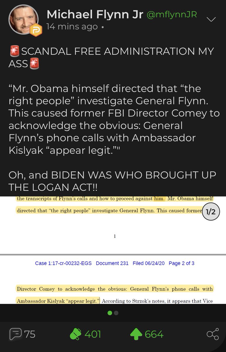 Michael Flynn Jr. posted on Parler today...Obama directed the investigation and Biden brought up thenlifan act. 