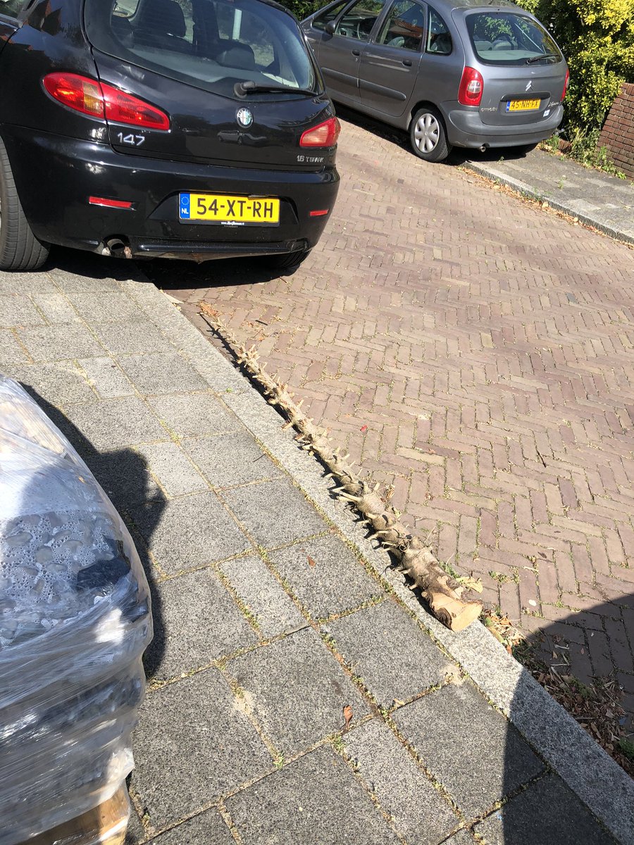 Pieter Kaltner tweet media