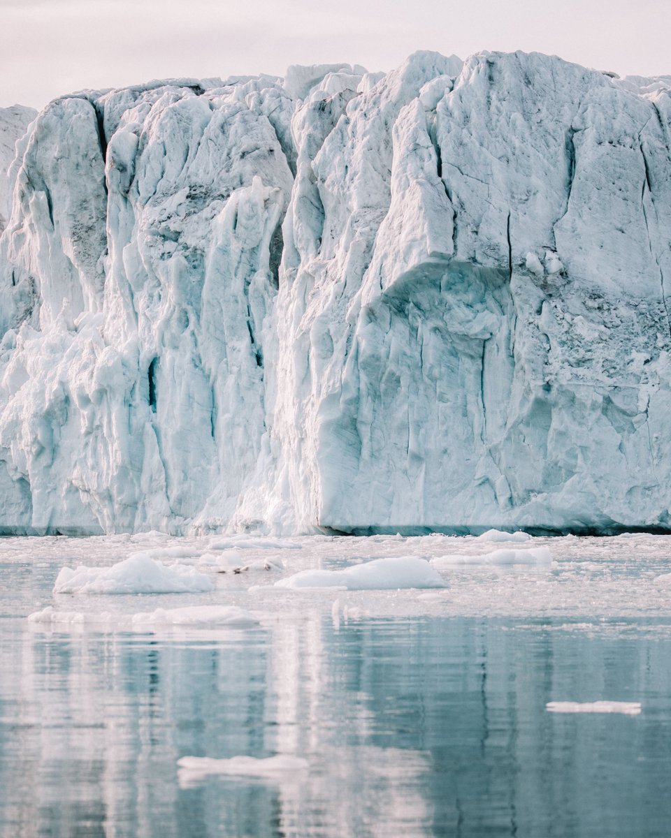 finduslost tweet media