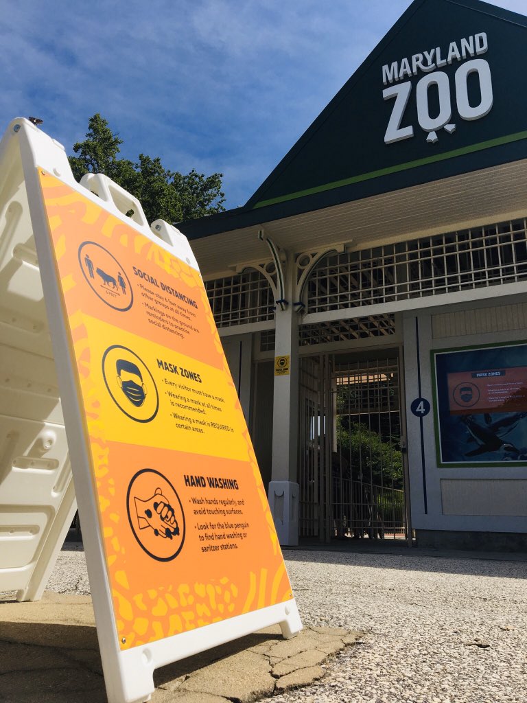 erick_ferris's tweet photo. The @marylandzoo opened this morning for the first time in 3 months because of #COVID19. Smiling faces already!! #baltimore #summer #zootastic https://t.co/pdhmzXYqK8
