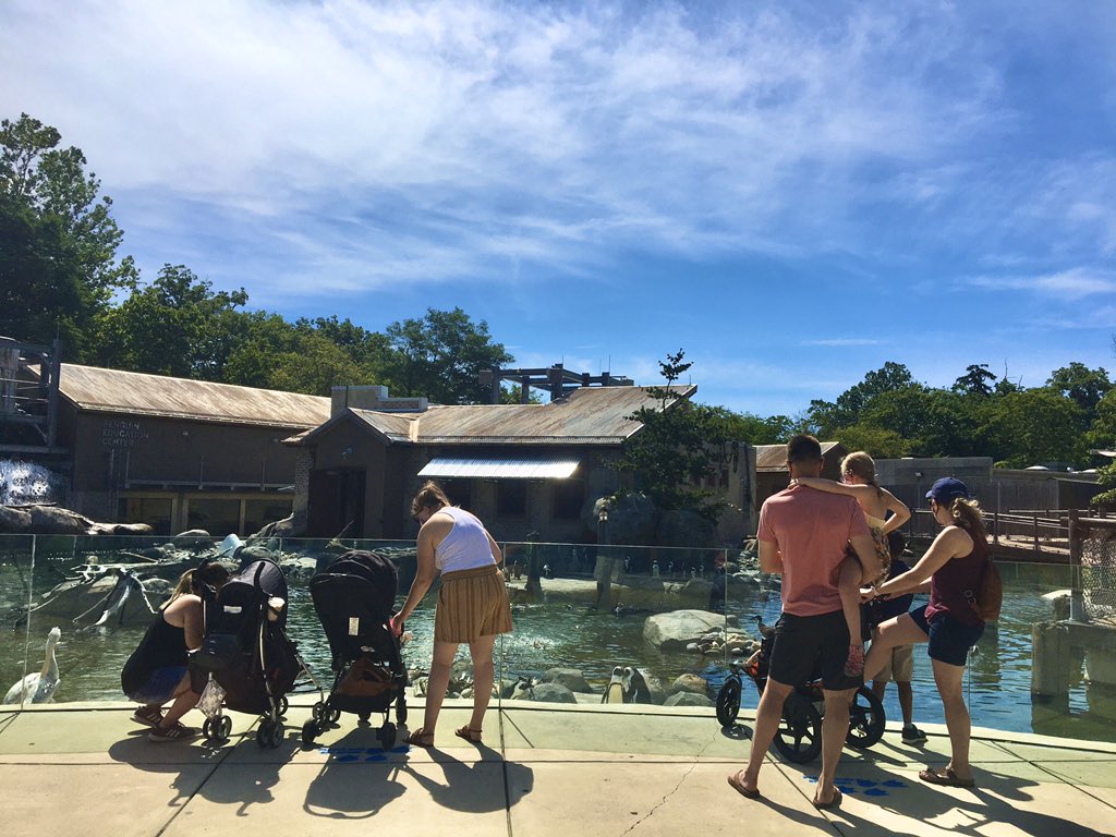 erick_ferris's tweet photo. The @marylandzoo opened this morning for the first time in 3 months because of #COVID19. Smiling faces already!! #baltimore #summer #zootastic https://t.co/pdhmzXYqK8