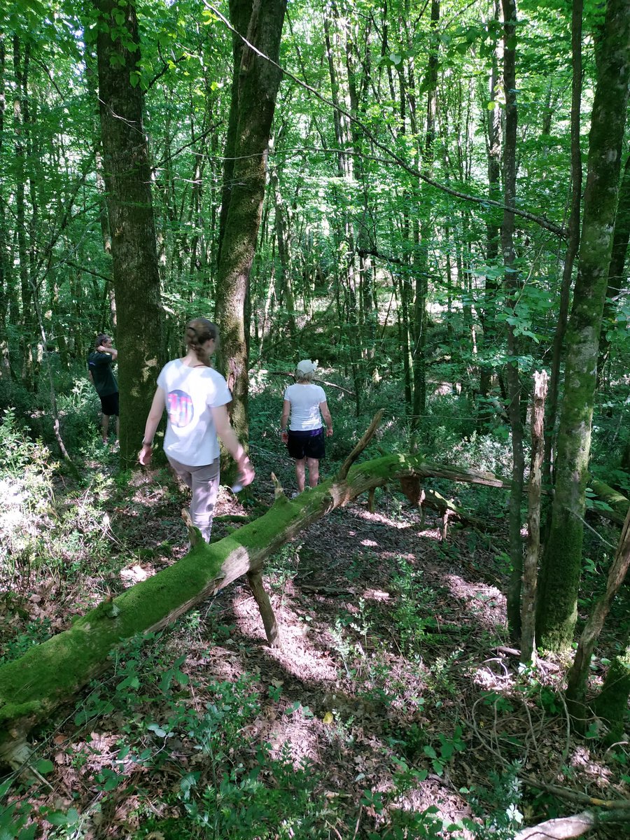 Asape_SND's tweet photo. Après une longue période de #teletravail et un retour progressif dans les bureaux, l'équipe #grc était en séminaire interne hier. Au programme : échanger ensemble sur les #innovations à venir et activités de #teambuilding !
De jolis projets arrivent !💡😁 #ASAPgrc #CRM https://t.co/uBA2Fs9fJ5