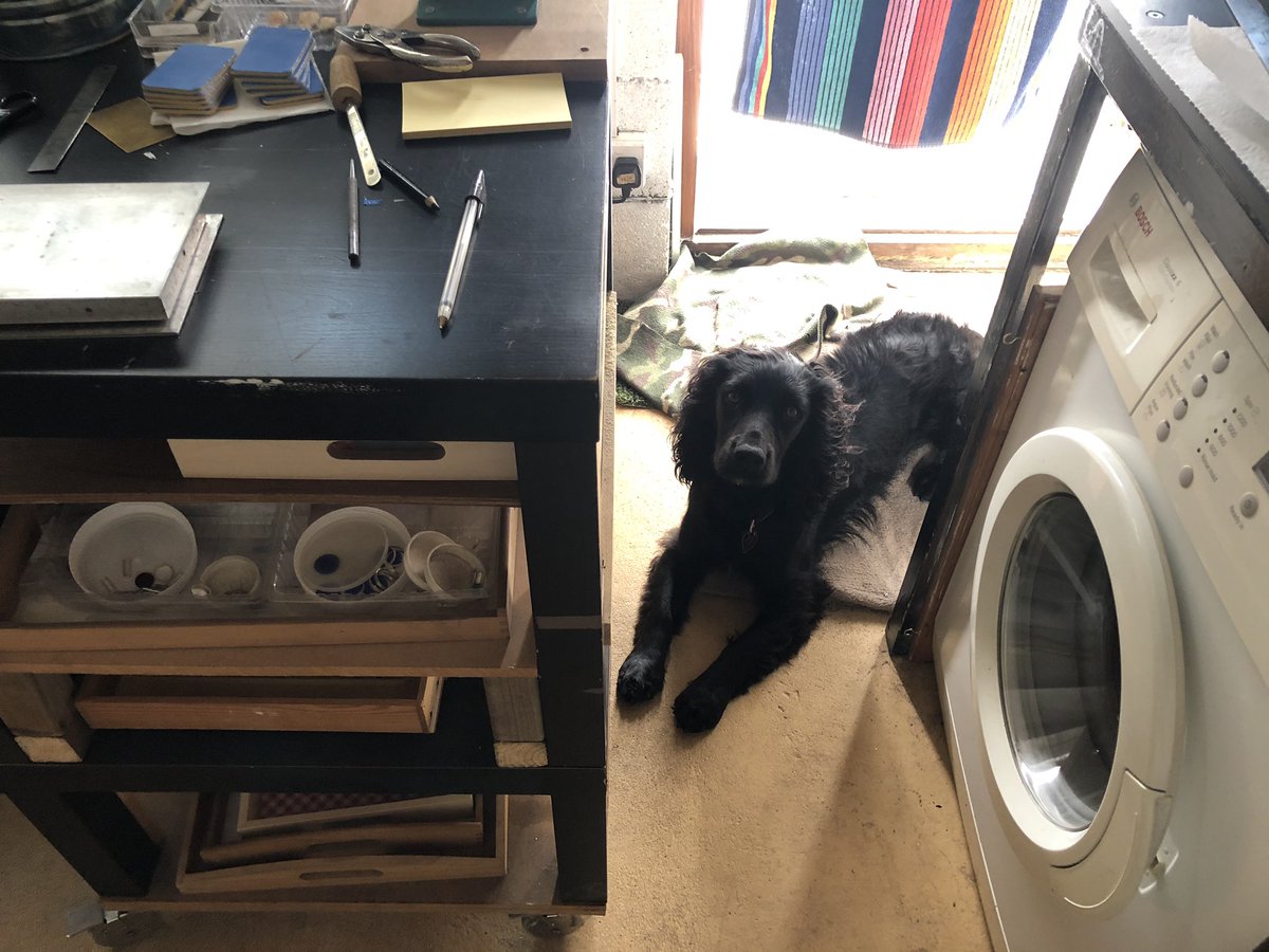 KTHallmark's tweet image. More mould making today with #WorkshopAssistant Duke @hd_puppy