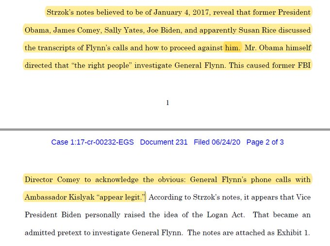 And it's being claimed the new documents that Jensen delivered to the Flynn defense have been unsealed and oh my God, it appears it was VICE PRESIDENT JOE BIDEN HIMSELF who brought up the idea of using THE LOGAN ACT to go after Flynn. h/t:  @NataliaNatga