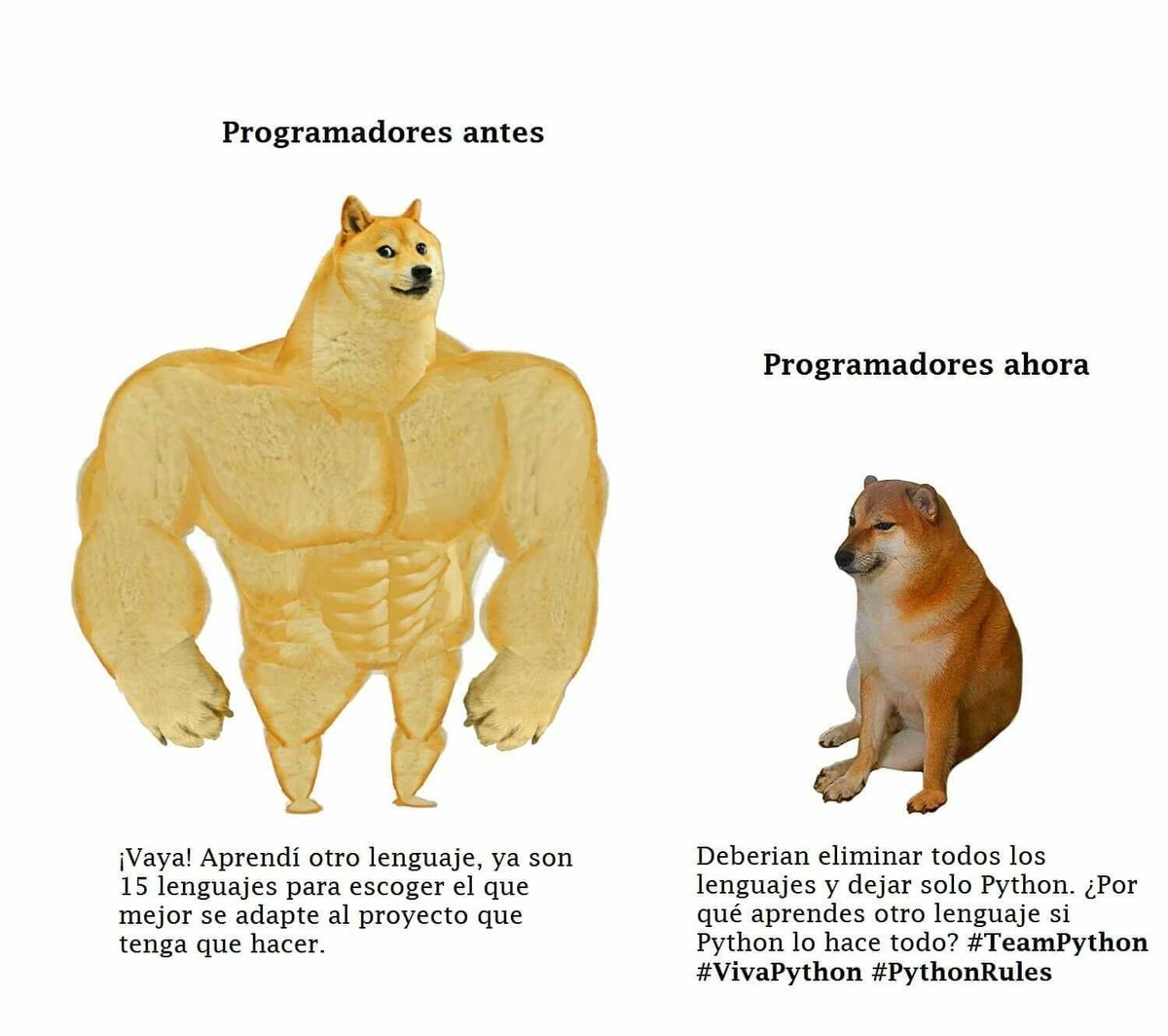 Rafael Álvarez tweet media