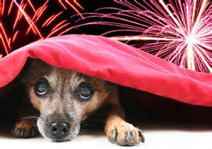 GrotonMAPolice's tweet image. Just a friendly reminder that with the drought, conditions put us in a high fire risk category.

Fireworks not only are illegal, but random displays cause devastating damage to people with sensory issues, pets, Vets, livestock, and wildlife. 
 
Please think them.