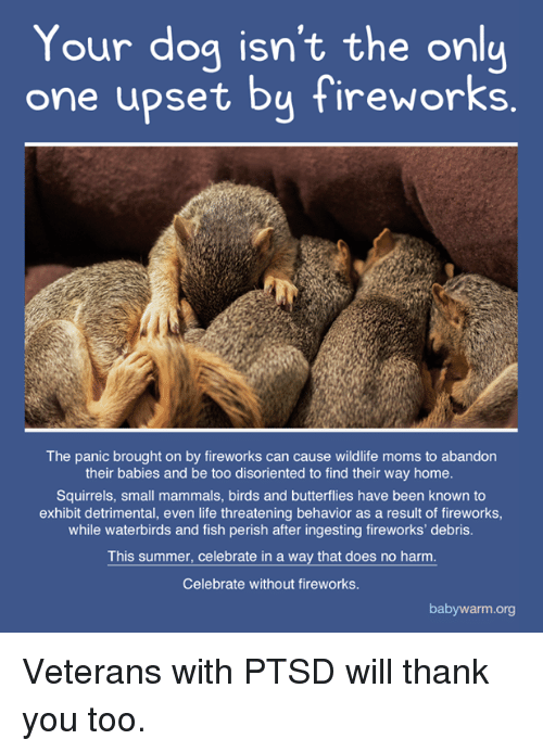 GrotonMAPolice's tweet image. Just a friendly reminder that with the drought, conditions put us in a high fire risk category.

Fireworks not only are illegal, but random displays cause devastating damage to people with sensory issues, pets, Vets, livestock, and wildlife. 
 
Please think them.