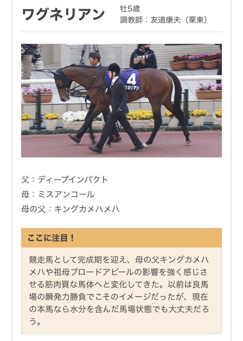 人馬一体とはこのこと。
ワグネリアンの足と厩務員の足が重なって、ワグネリアンが靴履いてるみたい。
ワグネリアンくるね。これは。

#宝塚記念
#ラッキーライラック
#サートゥルナーリア
#クロノジェネシス
#ワグネリアン
#ブラストワンピース