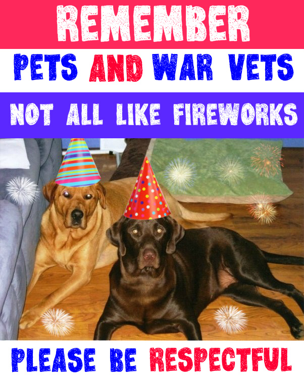 GrotonMAPolice's tweet image. Just a friendly reminder that with the drought, conditions put us in a high fire risk category.

Fireworks not only are illegal, but random displays cause devastating damage to people with sensory issues, pets, Vets, livestock, and wildlife. 
 
Please think them.