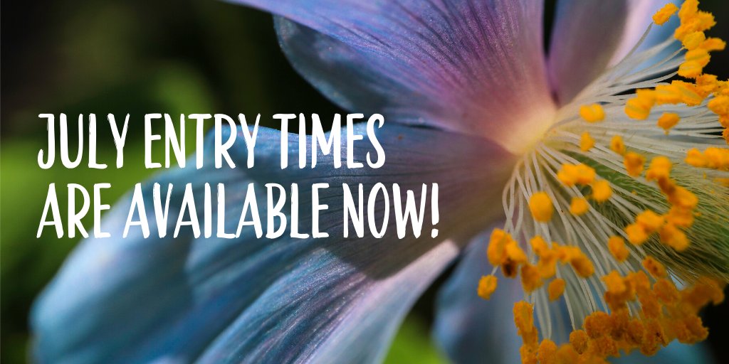 July entry times are now available for booking! Visit vandusengarden.ca to book your July trip to the garden. Friendly reminder that tickets will not be sold on site to reduce touch points between visitors and staff!