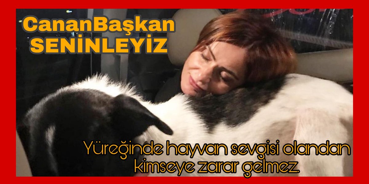 Canlar__'s tweet image. Hayaller ve düşünceler tutsak edilemez..!

CananBaşkan SENİNLEYİZ