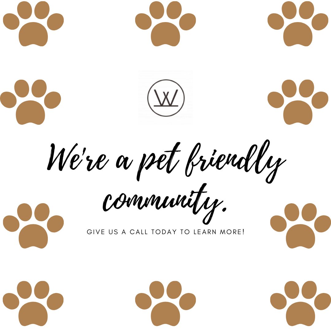 WellsJunction's tweet image. Ohana means family and family means pets too! 🐈 Give us a call today to learn more about our pet policy!