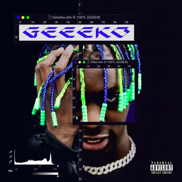 8- Geeeko : RéelTout droit sorti de Bruxelles, Geeeko nous livre un projet rempli d’émotions et d’ambiances explosives. Une versatilité exeptionnel, Geeeko s’adapte a n’importe quel type de prods ! Son : Geeeko - Barauder