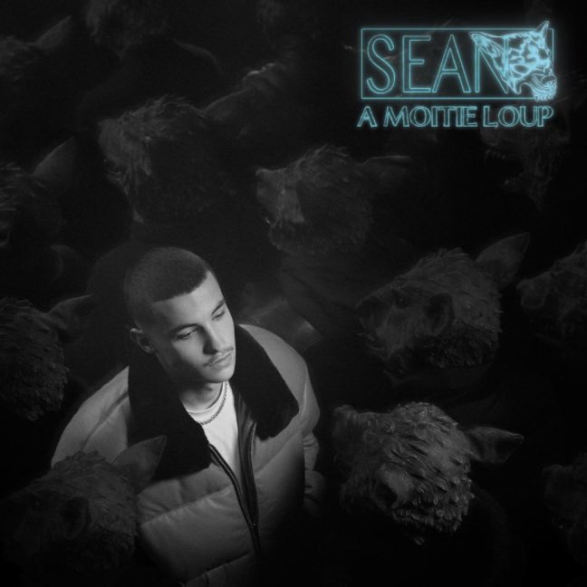 13- Sean - A Moitié LoupSean lâche son premier projet cette année avec des clips extrêmement bien réalisés !On retrouve ses magnifiques mélodies sur des prods aux rythmes dansants et aux ambiances planantes...Son : sean - laquelle