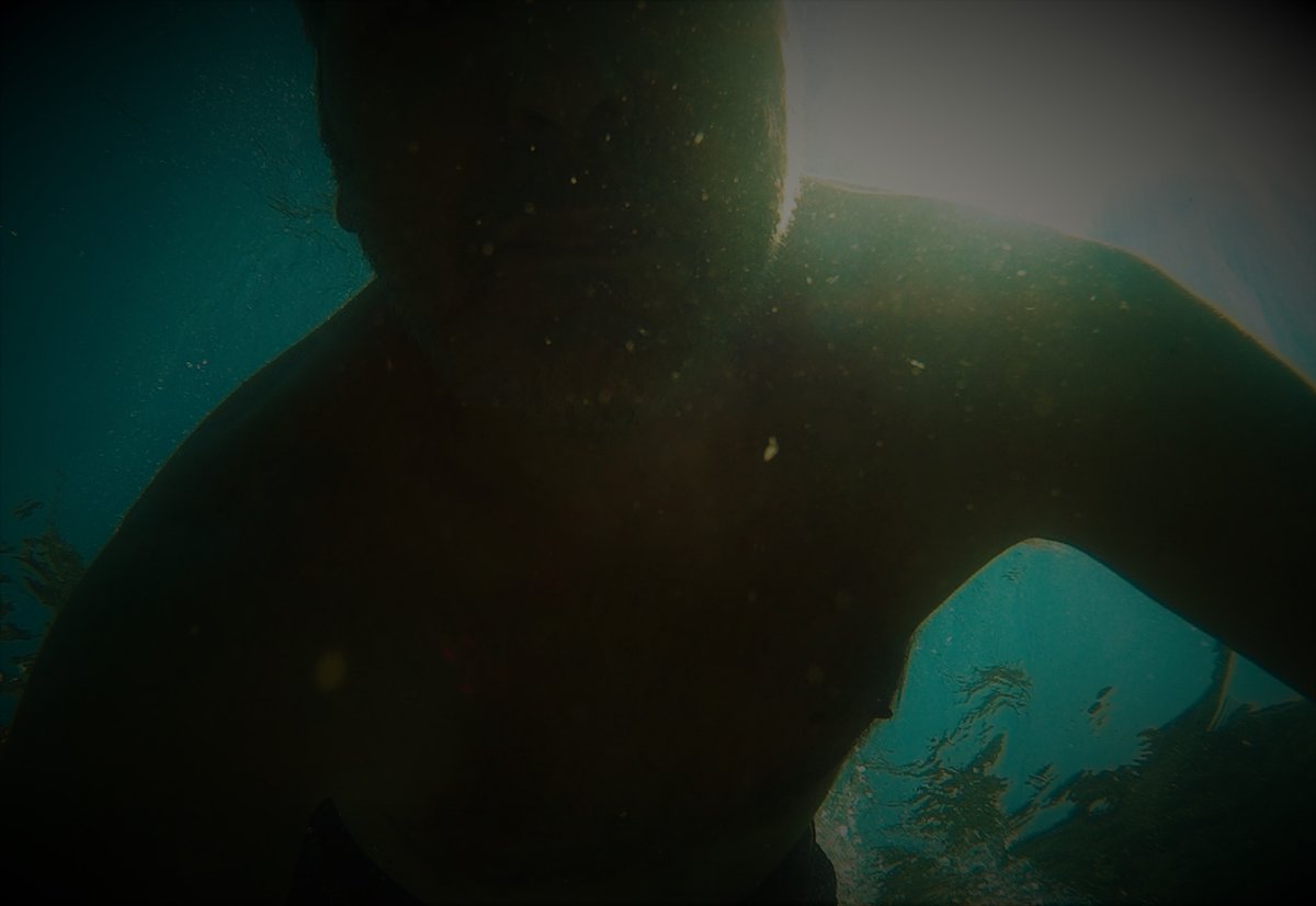 Massimo (@massimo_2020) on Twitter photo 