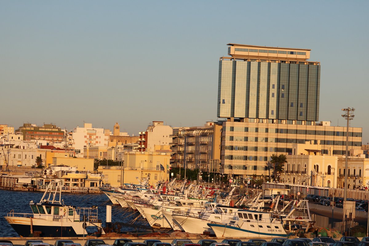 Massimo (@massimo_2020) on Twitter photo 