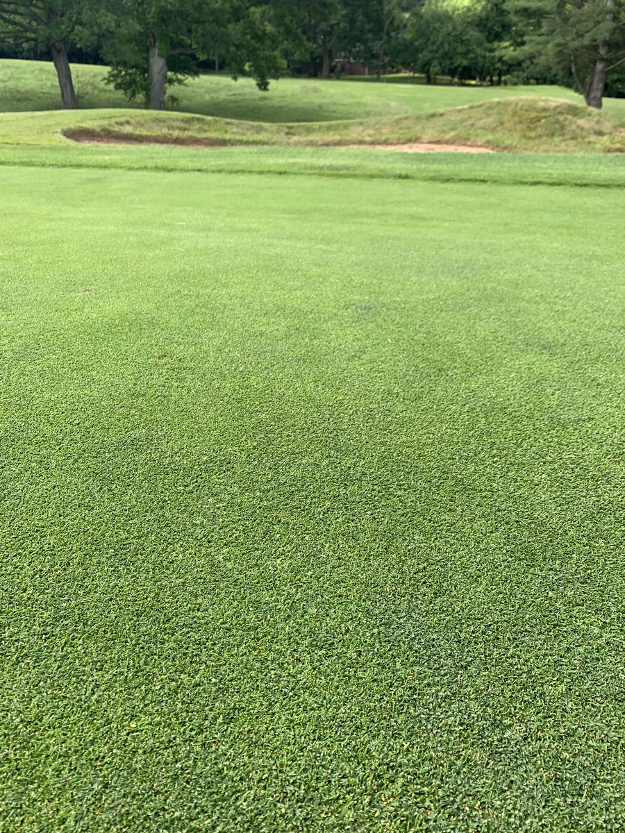9 months of using #_hydrasmart foliars and wetting agents along with #earthworks granulars.  Solid combination! @KMCturf <a href="/FertNdirtJack/">Jack Higgins</a>