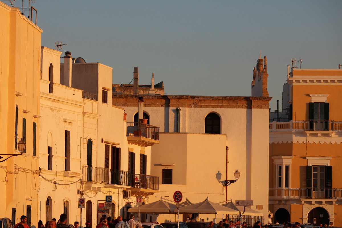 Massimo (@massimo_2020) on Twitter photo 