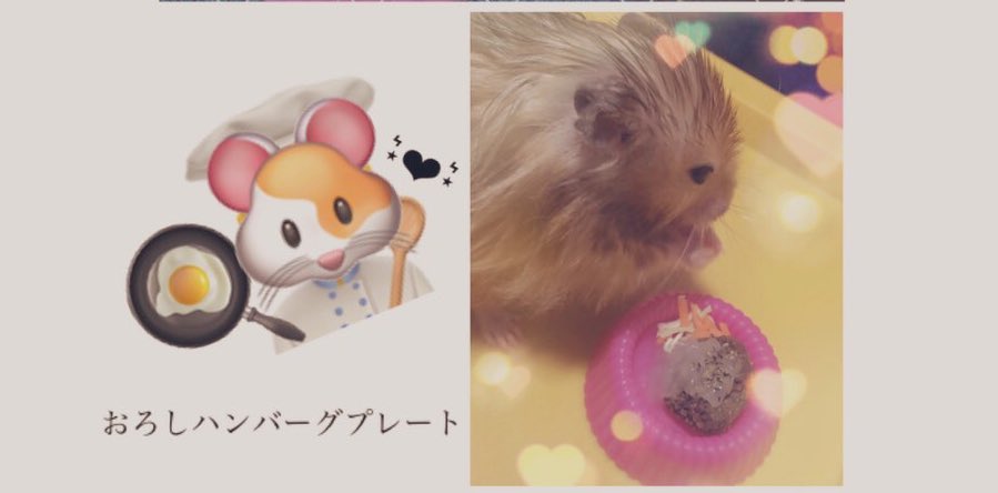 mg___201902___'s tweet photo. 最近ハムスター用ケーキとか そういうの作ってる人よく見るから私も作ってみたかった 🙃🙃 ダイエット中の主が食べたいものそれはおろしハンバーグ！！あんまり美味しくなかったそうです( ᐡ.  ̫ .ᐡ )おハム様のお口は超えてますね。。 https://t.co/yADHPpPamh