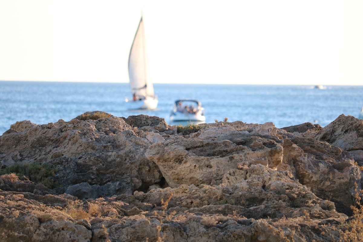 Massimo (@massimo_2020) on Twitter photo 