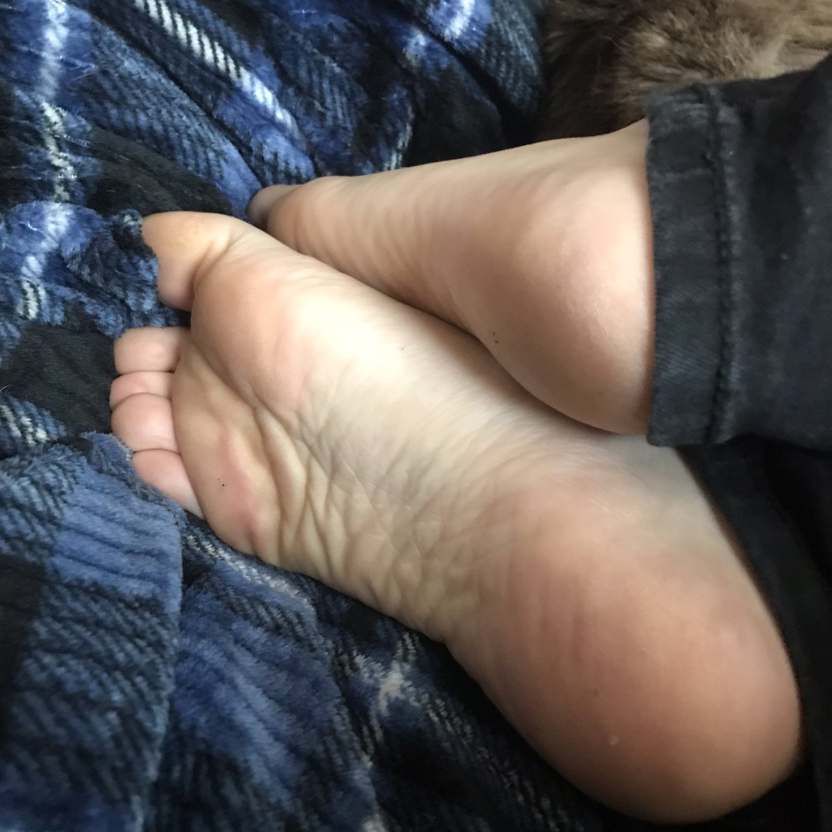 Jaxx Jordan tweet media