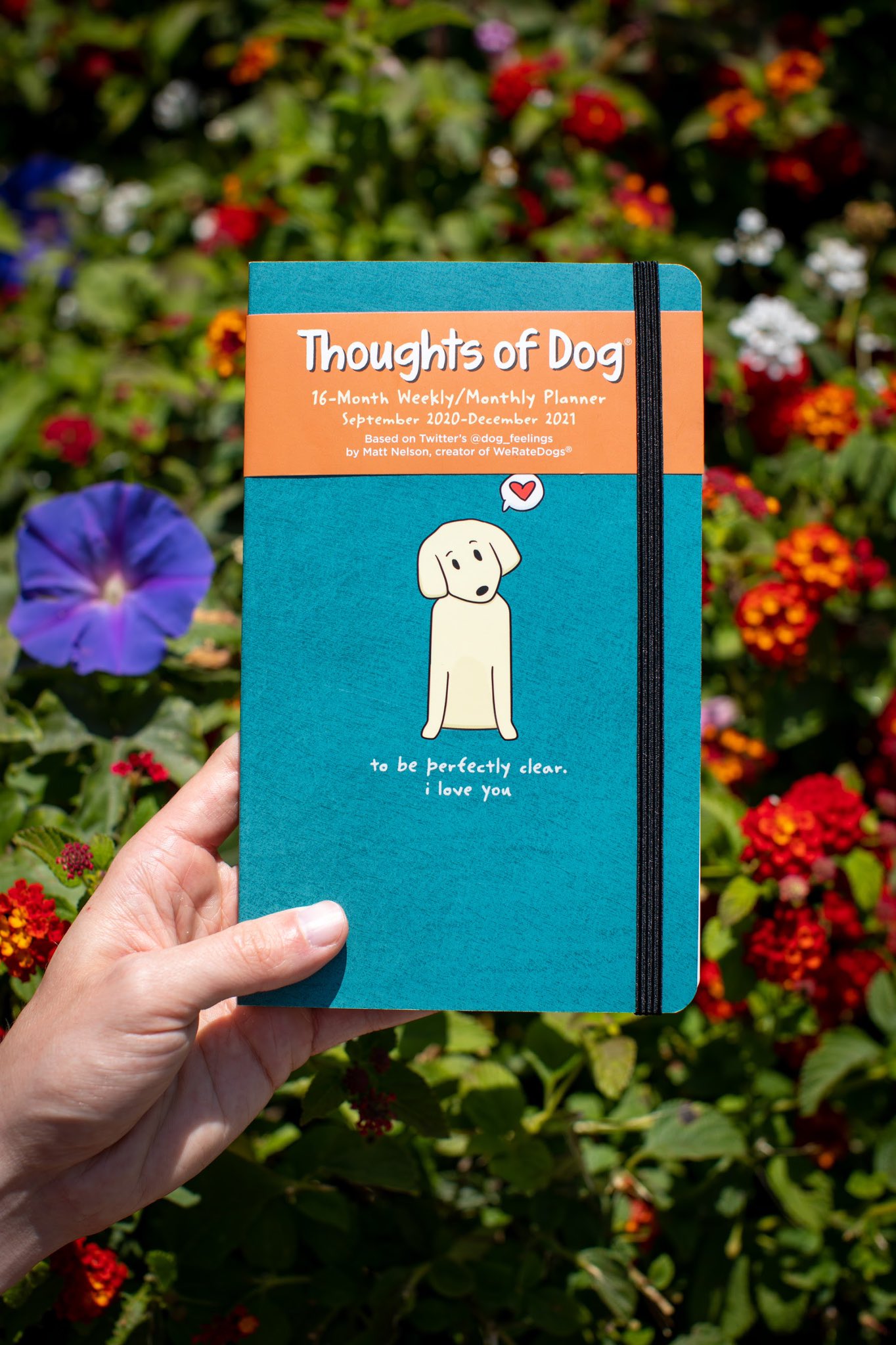 Thoughts of Dog, Book by Matt Nelson