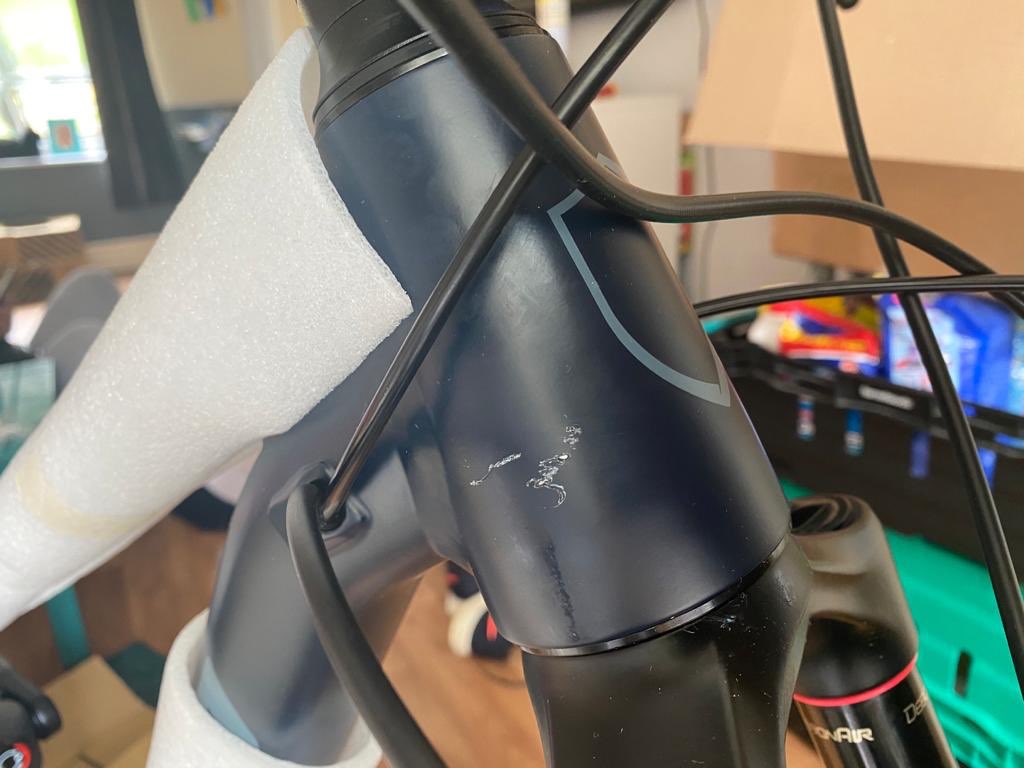 evans cycles trustpilot