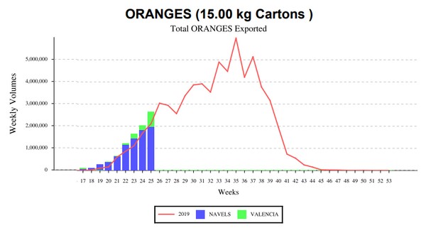 South African orange exports to Europe at 1,209,213 cartons
freshplaza.com/article/922891…