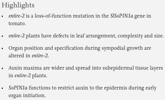 Dev_Bio_Journal's tweet photo. #DBteaser #DBfeatures #DevBio
ICYMI🌿🍃🌺
"A sister of PIN1 gene in tomato (Solanum lycopersicum) defines leaf and flower organ initiation patterns by maintaining epidermal auxin flux" by @CieraReports et al (2016).
Read it here -> https://t.co/yEp88oCByy https://t.co/DzAxtzwBXG