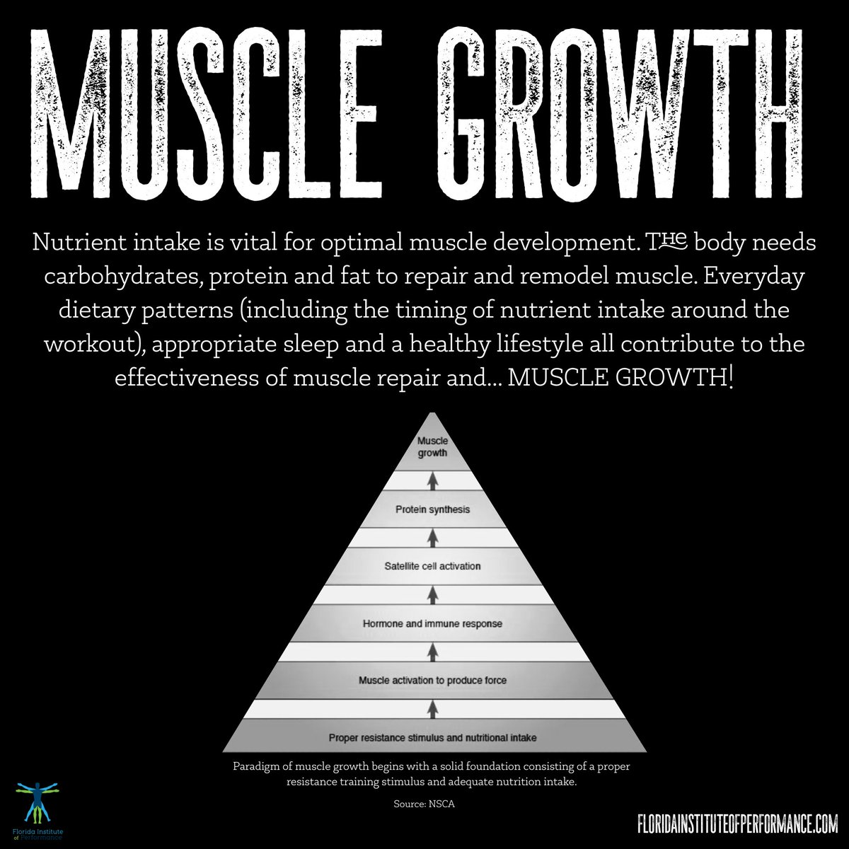 MyAriseFL's tweet photo. Let’s talk about muscle growth 💪
⠀
Two primary mechanisms have been proposed to explain how an increase in the size of an intact muscle might occur, read to learn more!
⠀
Questions? Give us a call: 561-252-6050 #TeamFIP
⠀
⚡️floridainstituteofperformance https://t.co/uh8BRRcBbb