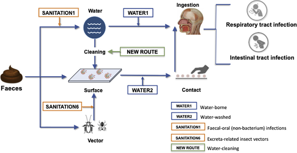 COVID-19 faecal-oral transmission: Water, surfaces & places with vectors can be transmission routesDisease transmission through:WaterRespiratory dropletsExcreta .Transmission by excreta-related insect vectors:FliesRatsCockroachesLice? https://www.sciencedirect.com/science/article/pii/S0048969720324360#bb0060