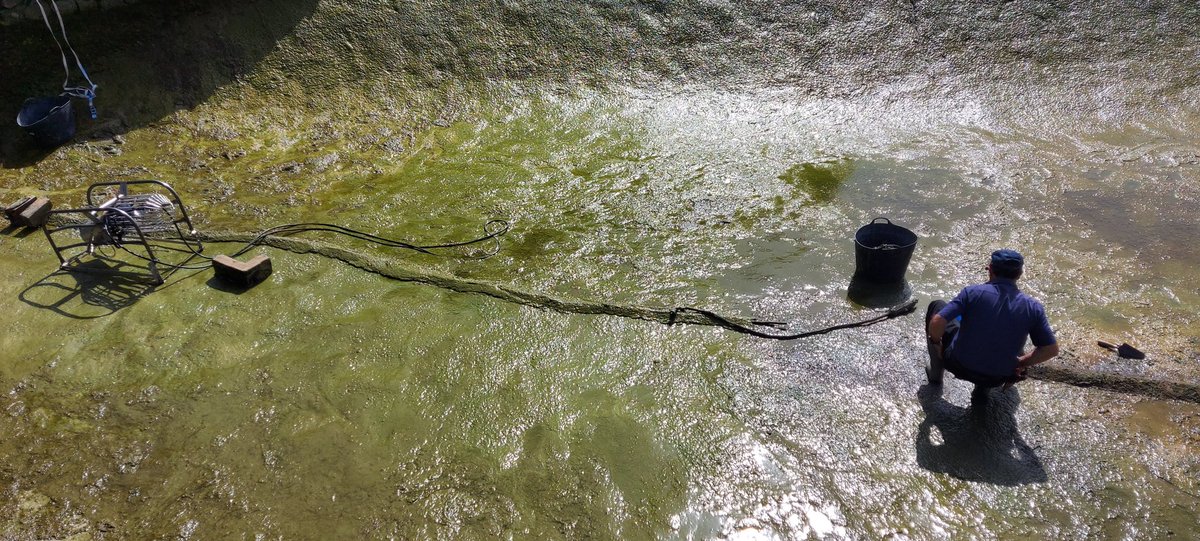 AgronomyRCV's tweet photo. Trabajando en los interiores de este bonito hoyo. @RcValderrama #lago17 #aireadores #mejora #instalacion 👊 #Algas movimiento del agua. Seguimos! https://t.co/YXlQuaAsWW