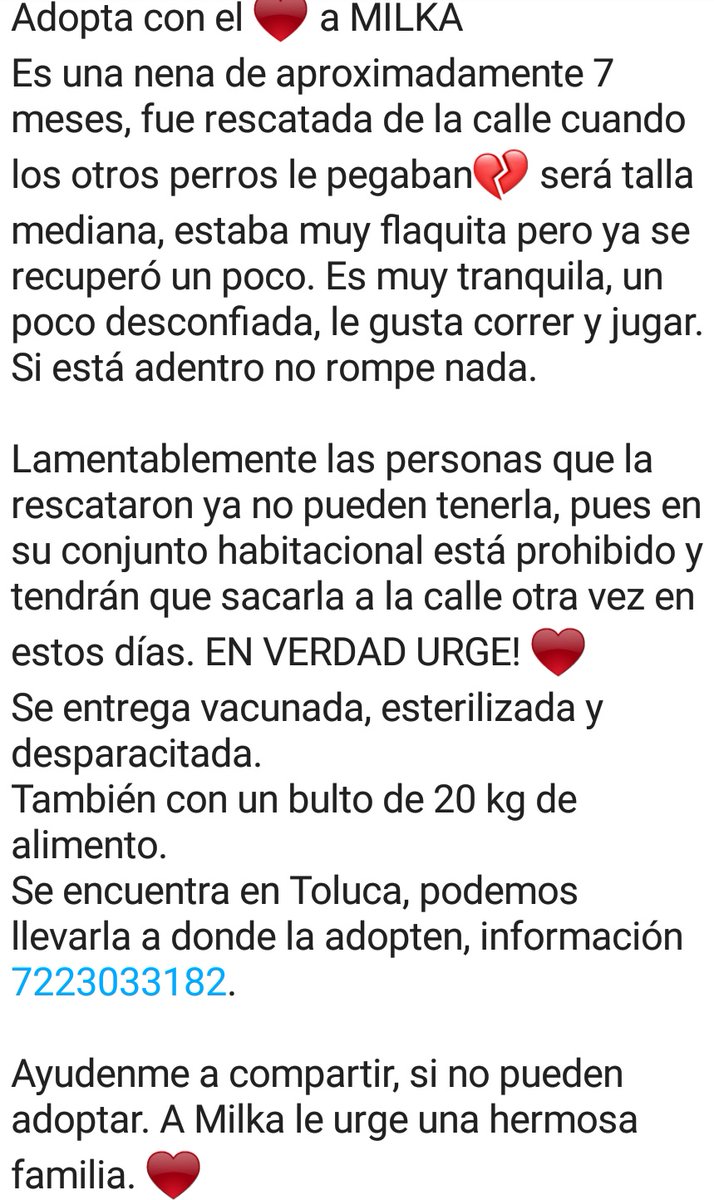 Adriipatt's tweet photo. Buen día, ¿me ayudarían a compartir, por fa? Mil gracias! 🙏 @metepec_mx @CapitanSH_ @TolucaGob
@JuanRodolfo_SG @FundacionToby
#adopta #adoptanocompres #doglover #adopcion #adoptame #adoptadog #amordeperros #perritosfelices https://t.co/niw959gjRZ