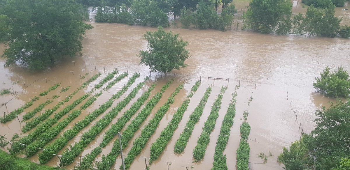 Nikolas1x2's tweet image. Fino obezbedjen key na reci toplici,sva sreca pa imam camac da udjem u maline