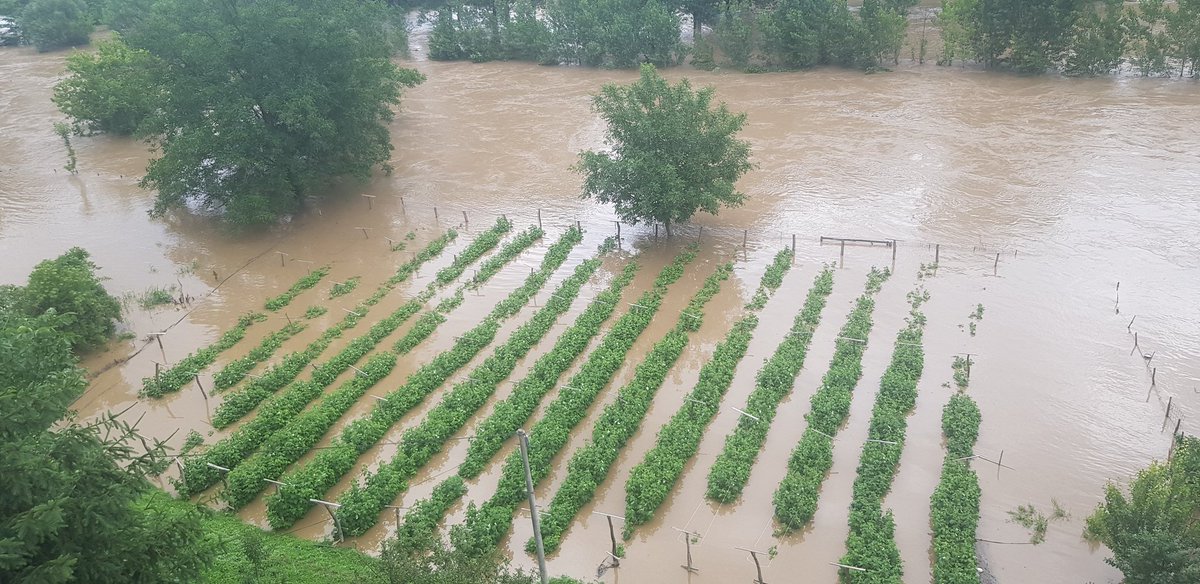 Nikolas1x2's tweet image. Fino obezbedjen key na reci toplici,sva sreca pa imam camac da udjem u maline