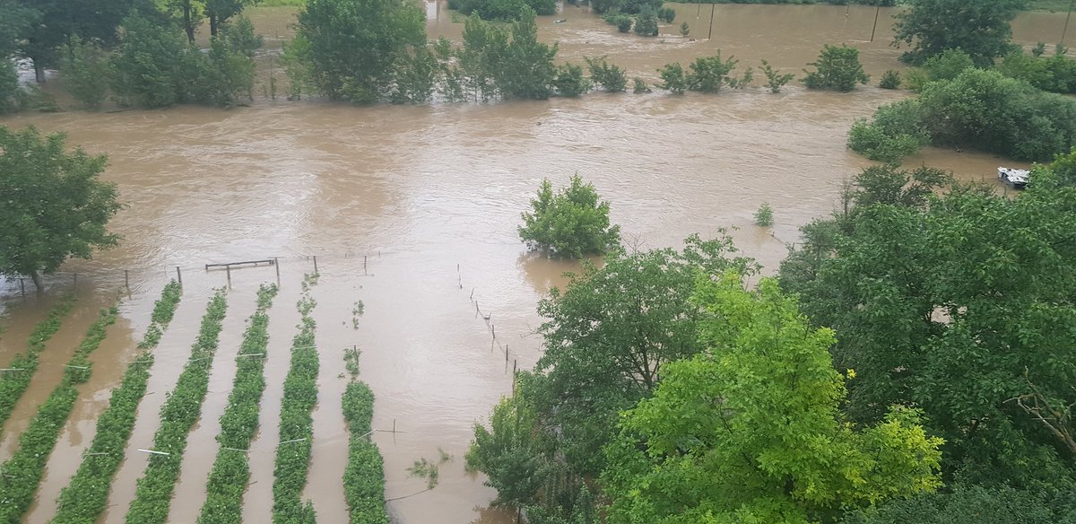 Nikolas1x2's tweet image. Fino obezbedjen key na reci toplici,sva sreca pa imam camac da udjem u maline