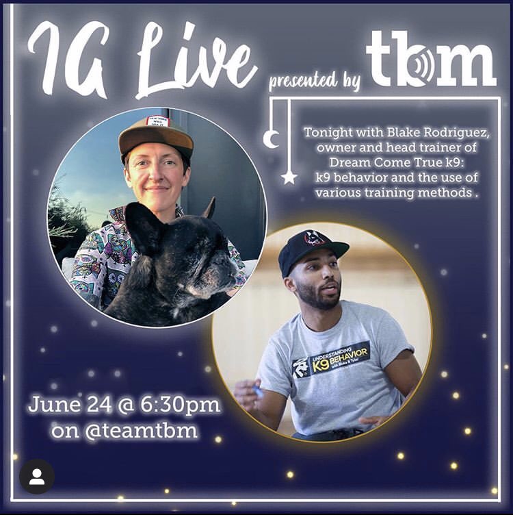 teamTBM's tweet photo. Going LIVE tonight with Blake Rodriguez, owner and head trainer at Dream Cone True k9 (@DreamComeTrueK9) to talk all training methods for your pup!

Instagram LIVE @teamtbm at 6:30PM tonight! 🐶 https://t.co/zwUHYhp2Og