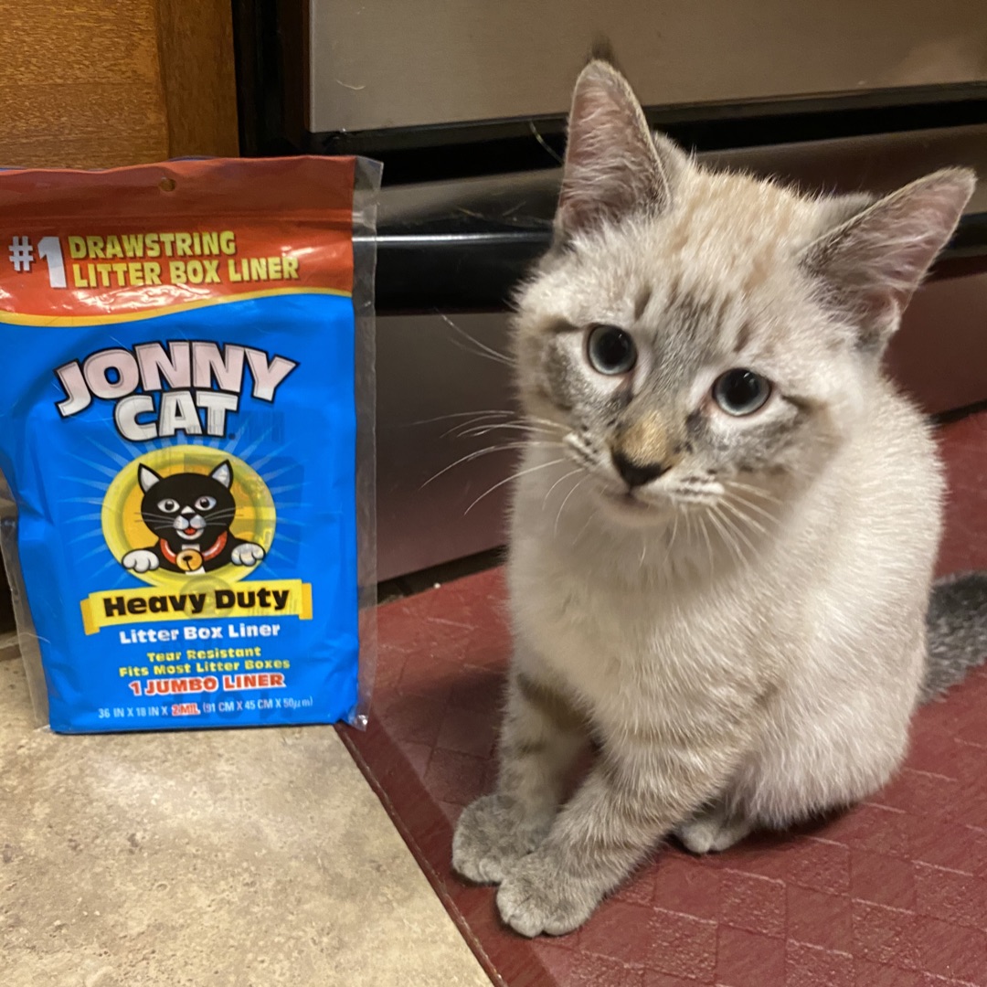 Haley Craft tweet media