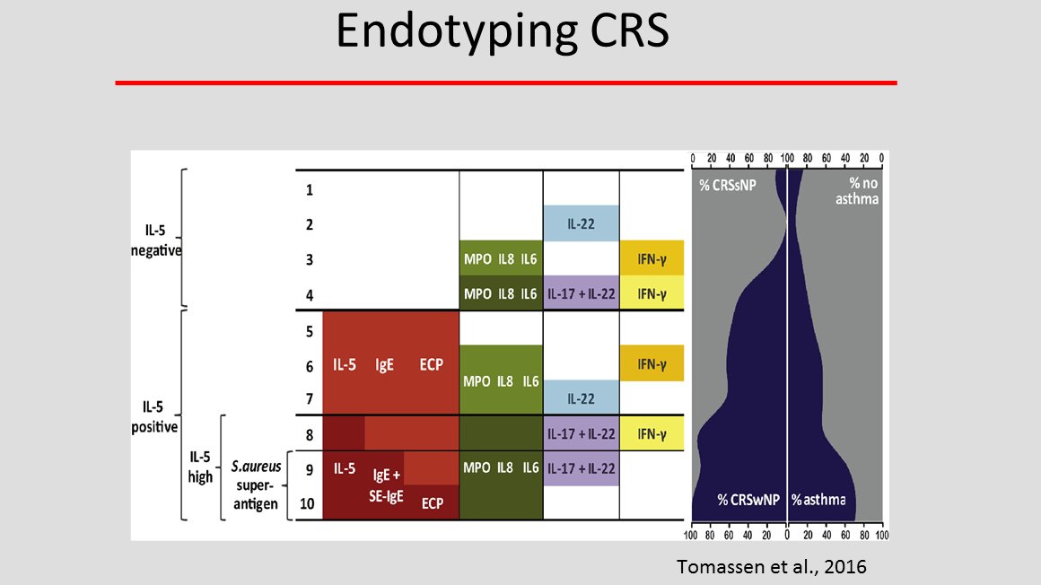 euforea's tweet photo. EPOS 2020 webinar yesterday - Prof Kern from the US presents 'Complex inflammatory response in CRS demonstrating Type2 vs non-Type2 CRS endotypes. Full recordings of all series presentations available soon via https://t.co/Wk5okIa9fz #EuropeanRhinologicSociety #EPOS2020 #CRS https://t.co/u8xeT7BRxh