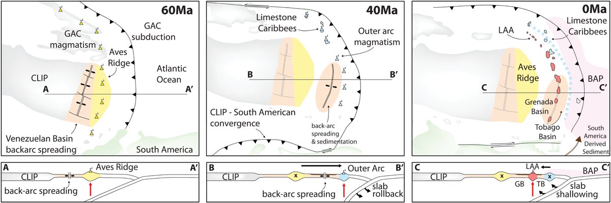 Our  @ImperialRSM team used a new model of  #Antilles tectonics, by  @VoiLA  #PhD student  @rob_wallen, to figure out where and when  #water was released from the subducted  #Atlantic Plate [6/12] https://doi.org/10.1130/G46708.1