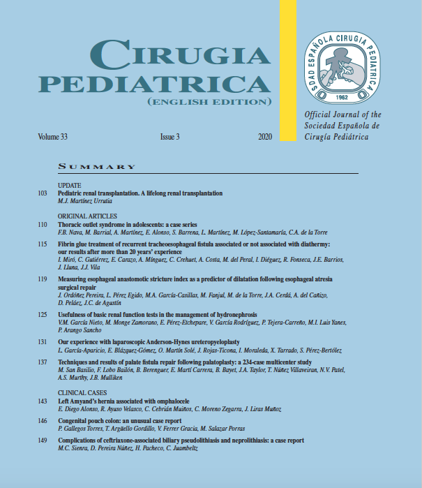 SECIPE's tweet photo. Ya está disponible el nuevo número de la revista de Cirugía Pediátrica!! https://t.co/kzgWxyJiuB. The new issue of Cirugía Pediátrica is now available!! https://t.co/MJNkLY4Dmh https://t.co/ViJL4UtjMH