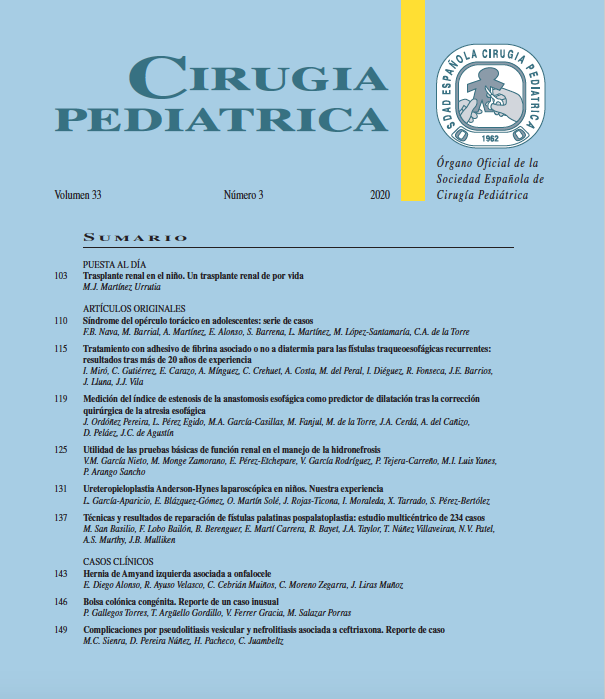 SECIPE's tweet photo. Ya está disponible el nuevo número de la revista de Cirugía Pediátrica!! https://t.co/kzgWxyJiuB. The new issue of Cirugía Pediátrica is now available!! https://t.co/MJNkLY4Dmh https://t.co/ViJL4UtjMH