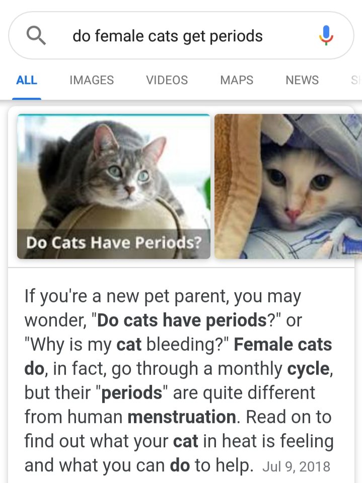 do female cats and dogs have periods
