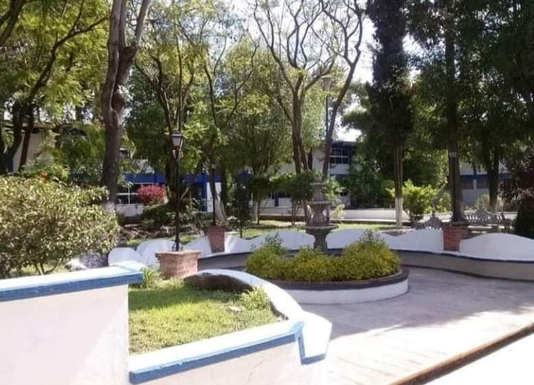 andreafloresva5's tweet photo. Una imagen, un recuerdo. Mi prepa. Que supongo fue también un lugar especial para ustedes. #PrepaSur 100% #UAQ
@UAQmx https://t.co/uwSYThpUTL